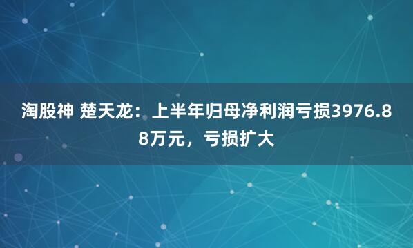 淘股神 楚天龙：上半年归母净利润亏损3976.88万元，亏损扩大