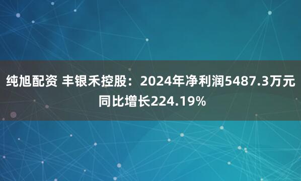 纯旭配资 丰银禾控股：2024年净利润5487.3万元 同比增长224.19%