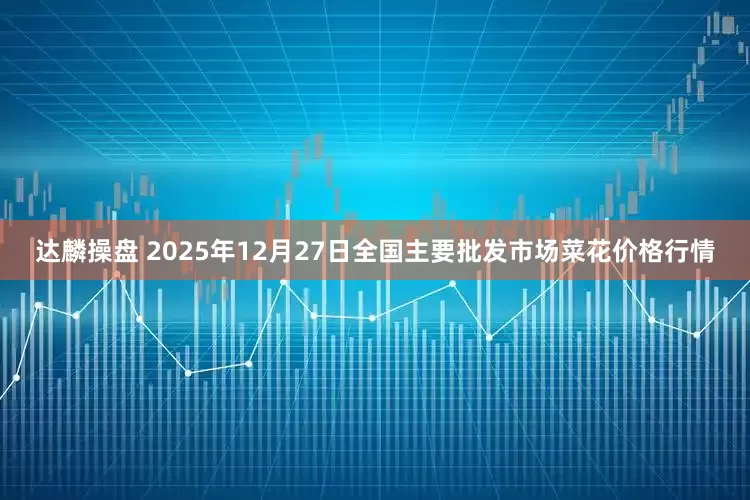 达麟操盘 2025年12月27日全国主要批发市场菜花价格行情