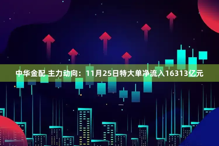 中华金配 主力动向：11月25日特大单净流入16313亿元