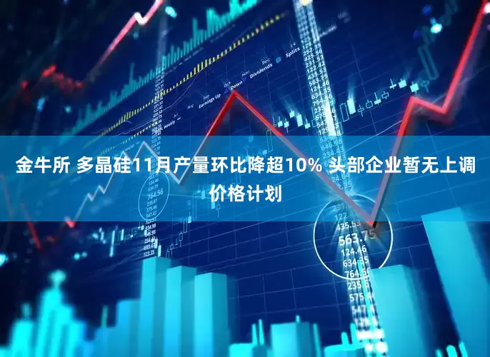 金牛所 多晶硅11月产量环比降超10% 头部企业暂无上调价格计划