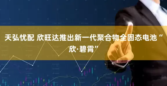 天弘忧配 欣旺达推出新一代聚合物全固态电池“欣·碧霄”